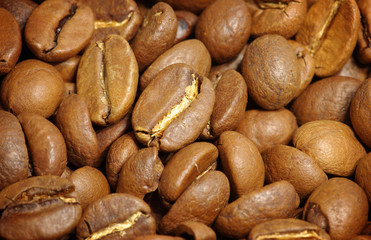  coffee grains