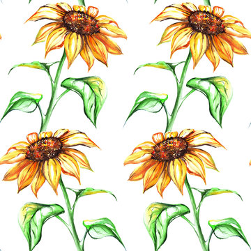Watercolor yellow sunflower flower seamless pattern background
