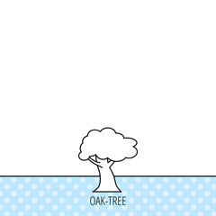 Oak tree icon. Forest wood sign.