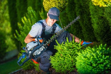 Trimming Work in a Garden