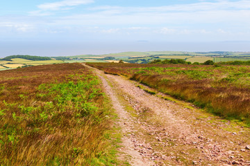 Fototapeta na wymiar Landschaft in den Quantock Hills in Somerset, England