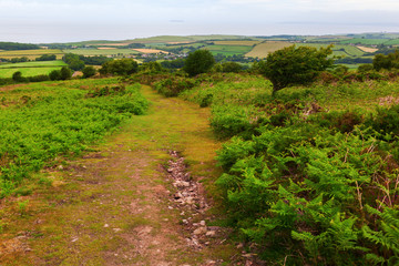 Landschaft in den Quantock Hills in Somerset, England