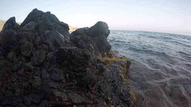 cangrejo andando en las rocas
