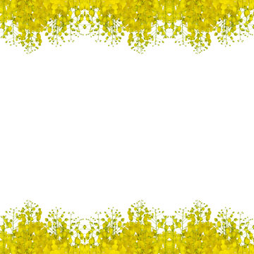 Cassia fistula flower seamless pattern background