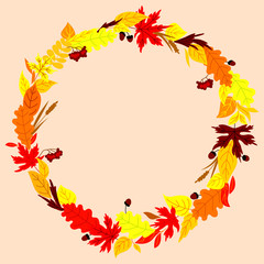 Autumn frame with leaves, herbs and acorns