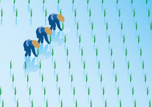田植え