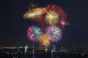 Fototapeta premium 花火/第27回東京湾大華火祭2015