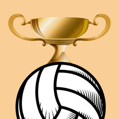 Fototapeta na wymiar Volleyball design 