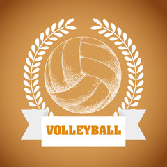 Volleyball design 