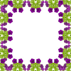 petunia frame isolated on white background