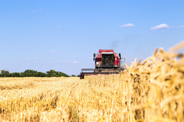 Obraz premium Photo of combine harvester that is harvesting wheat