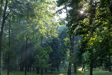 dawn in city park with sunbeams