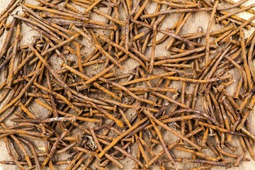 Background of the old rusty nails on the wood table.Used color t