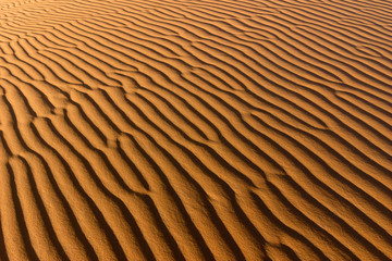sahara desert