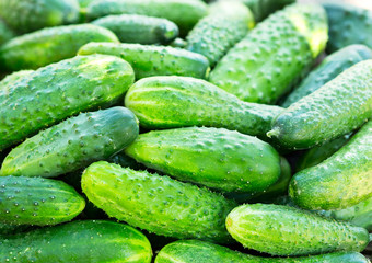 cucumbers