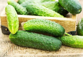 fresh cucumbers