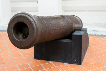 Cannon model