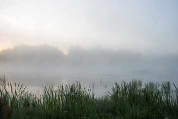 Fototapeta premium river