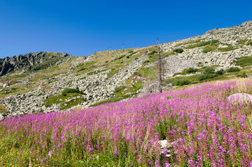 Obraz premium Mountian