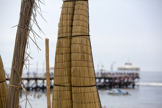 View of Totora Horses in Huanchaco beach, Peru