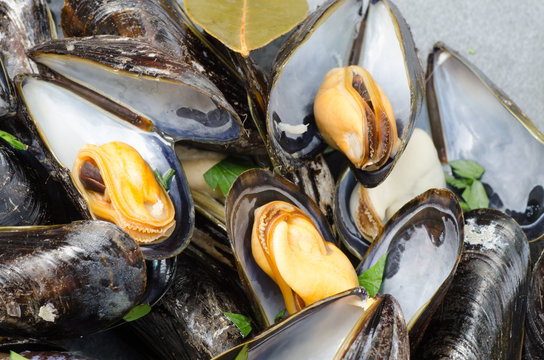 tasty boiled mussels
