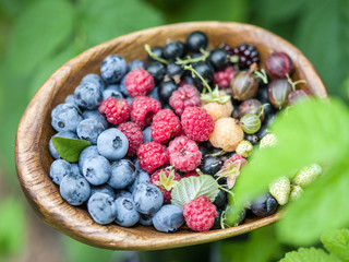 Ripe berries in the wooden bowl over green grass.