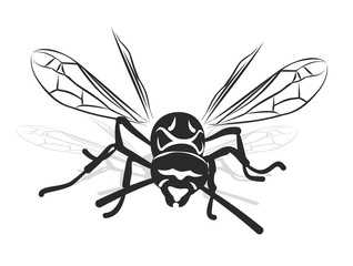 Wasp.