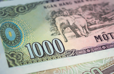 Banknote in one thousand Vietnamese dong close up