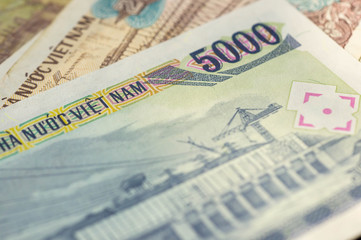 Banknote in five thousand Vietnamese dong close up