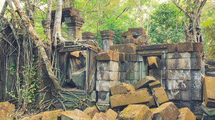 Beng Mealea Temple, Angkor, Cambodia
