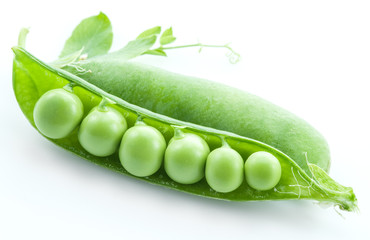 Open pea pod on a white background.