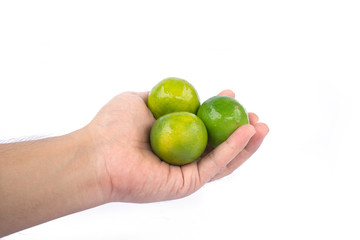 Hand holding green lime on white background