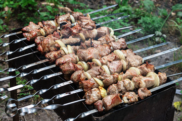 Pieces of meat on a fire