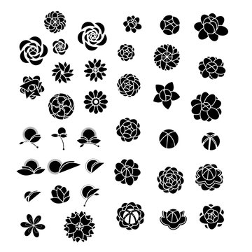 Flower  icon collection vector