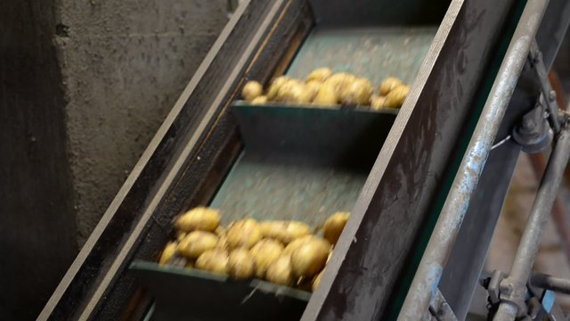 Kartoffelproduktion 