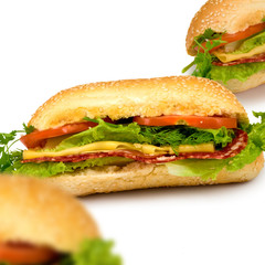 sandwich on a white background