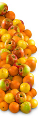 fruits on a white background