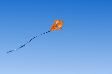 Kite flying in a blue sky