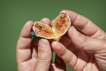 Interior of a Black Fig