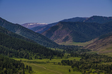 пейзаж Алтайских гор и тайги