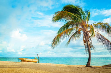 Boat and coconut tree on caribbean beach