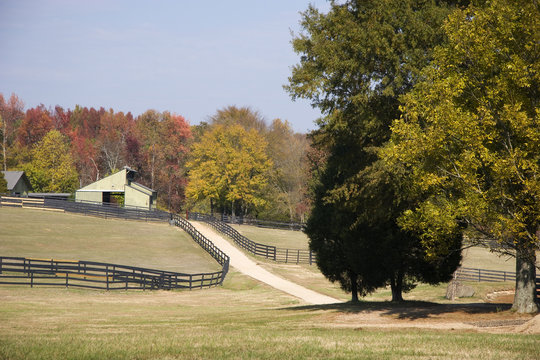 Horse Farm With Long Driveway