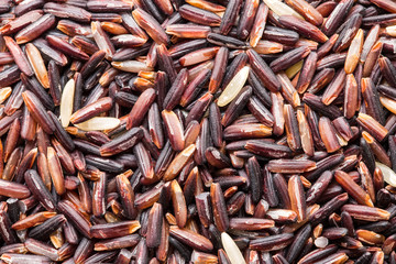 Rice-berry seed