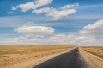 Fototapeta na wymiar Highway in wild Mongolian steppe