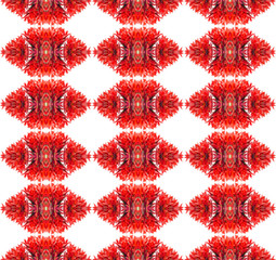 Bromeliad seamless pattern background