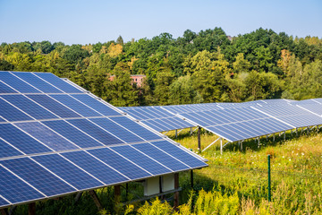 Solarpark auf einer Wiese