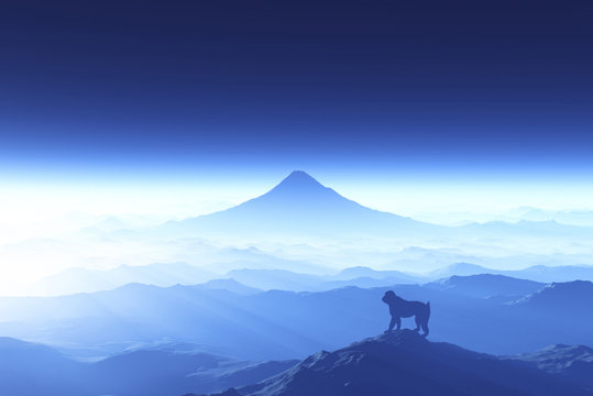 富士山と猿 © bigfoot