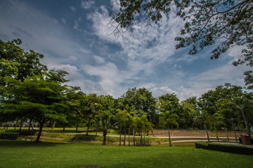 Pavilion in the garden