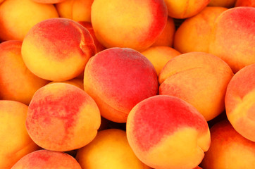 Ripe apricot close up, DOF, as background