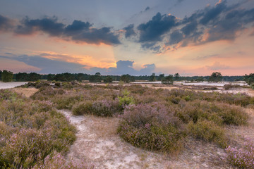 Fototapeta na wymiar Shifting sands and heathland